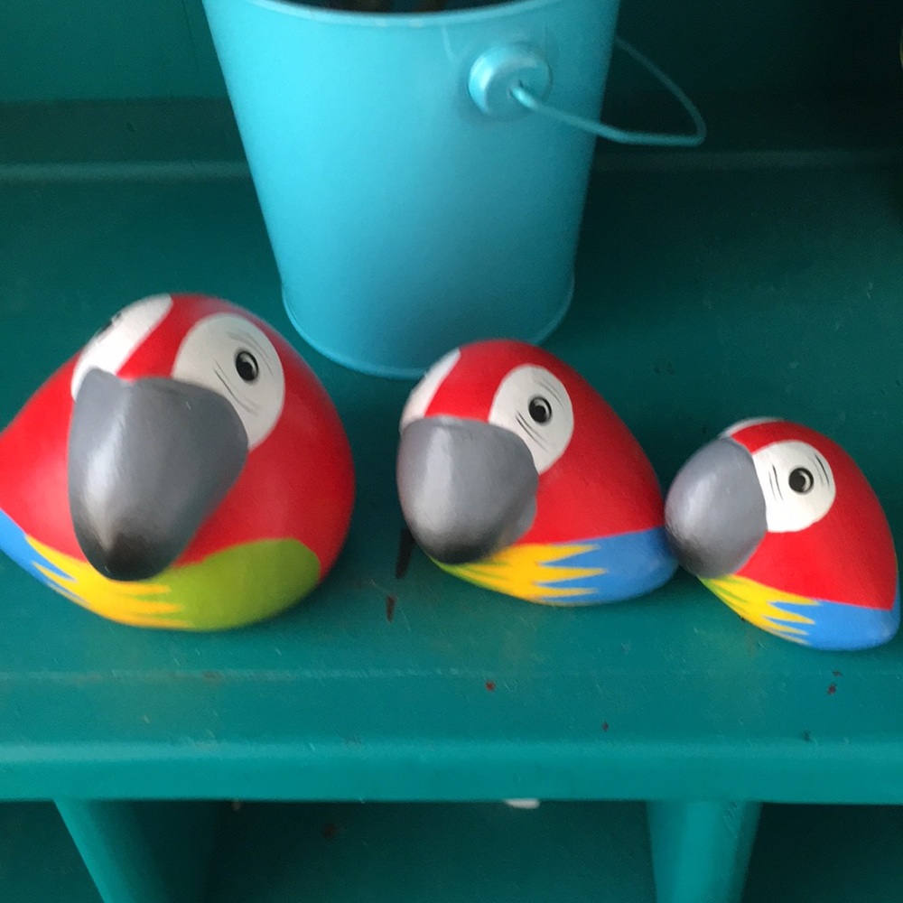 Family bird